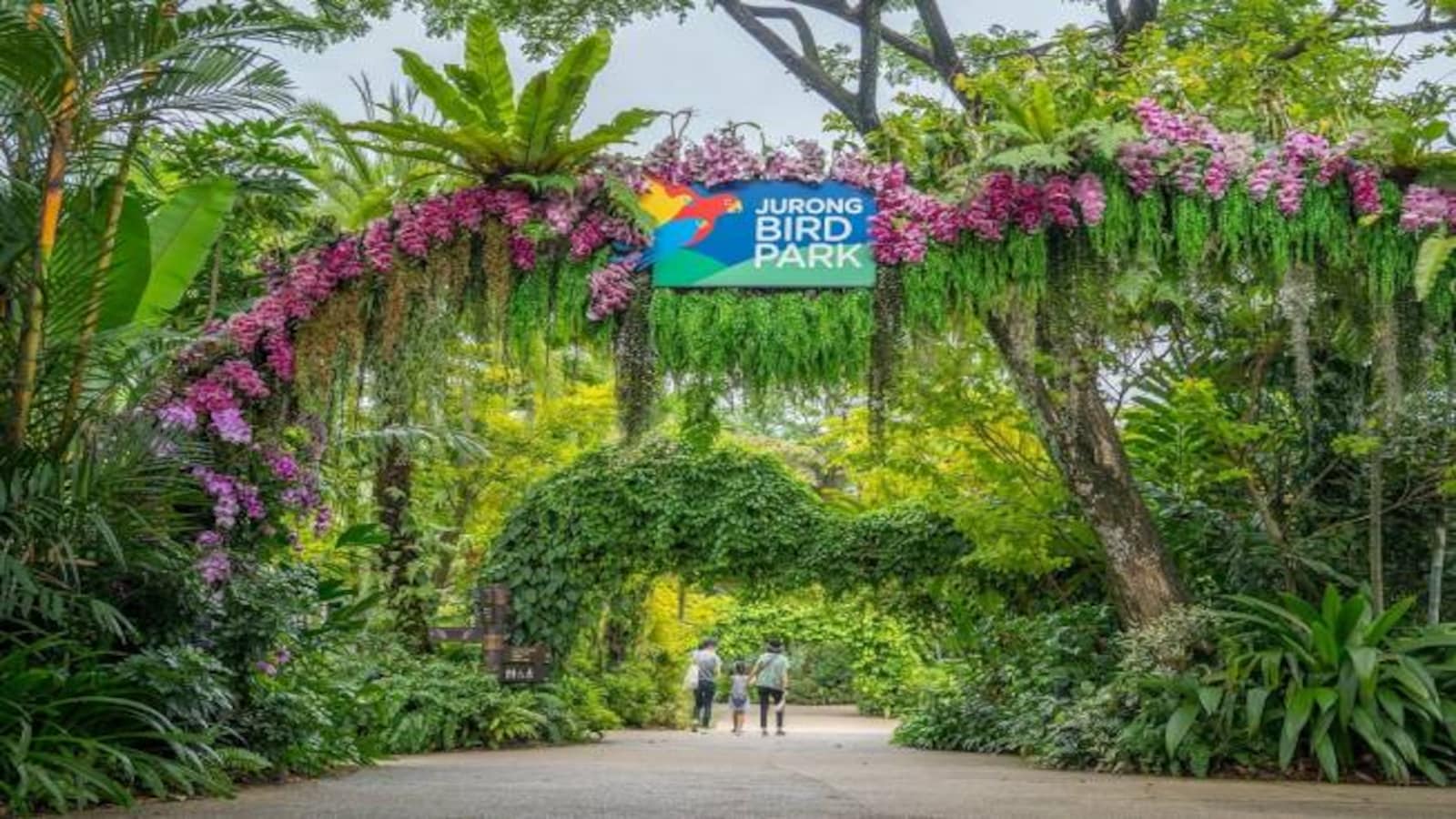 Day 4: Jurong Bird Park Tour