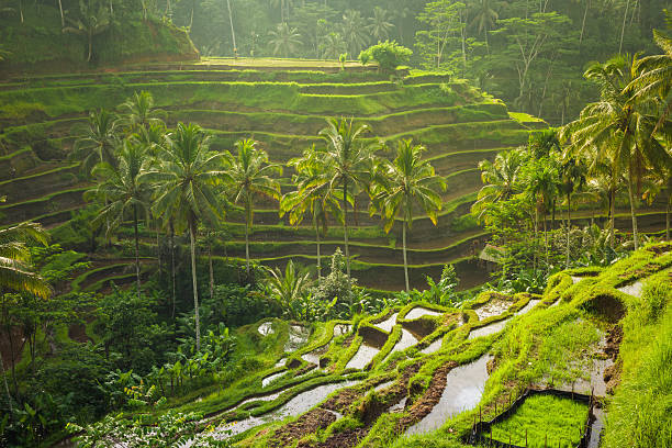 Day 1: Arrival in Bali